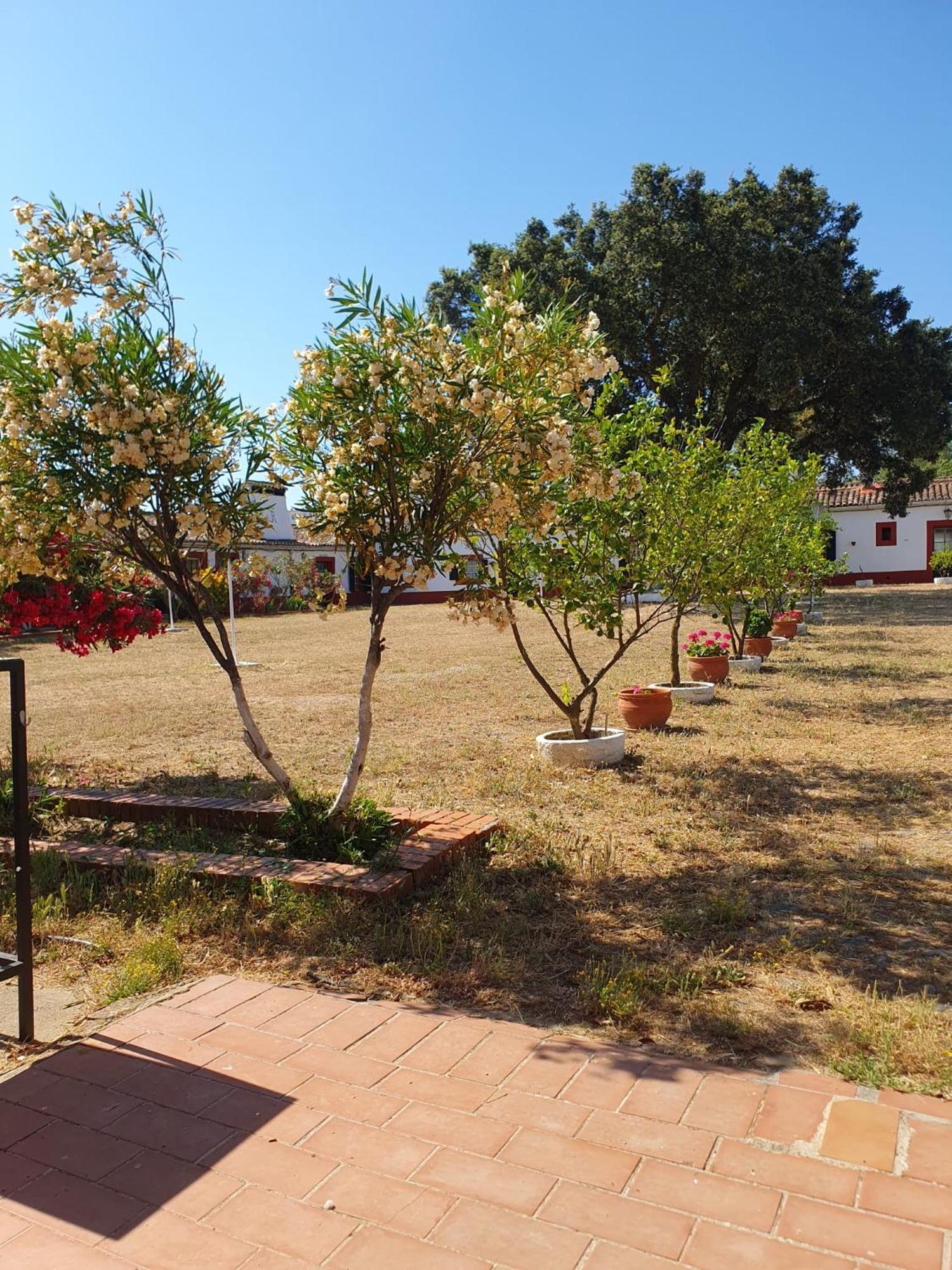 Hotel Rural El Vaqueril Navas Del Madrono ภายนอก รูปภาพ