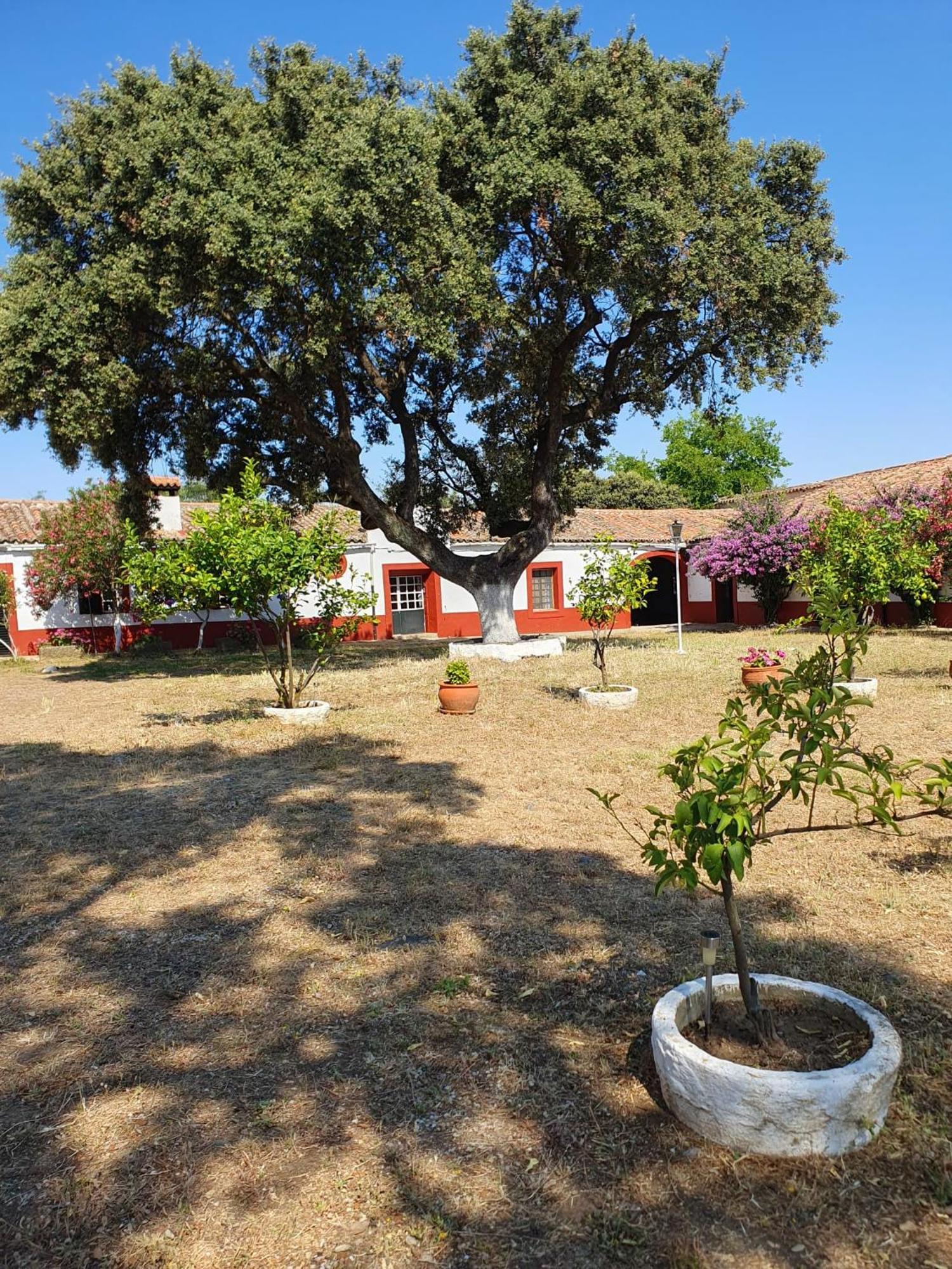 Hotel Rural El Vaqueril Navas Del Madrono ภายนอก รูปภาพ